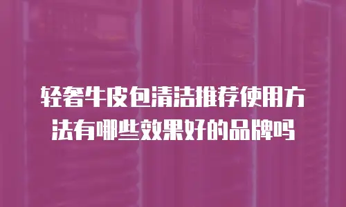 轻奢牛皮包清洁推荐使用方法有哪些效果好的品牌吗