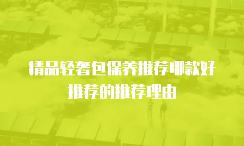 精品轻奢包保养推荐哪款好推荐的推荐理由