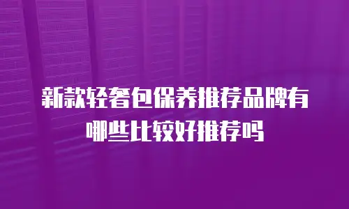 新款轻奢包保养推荐品牌有哪些比较好推荐吗