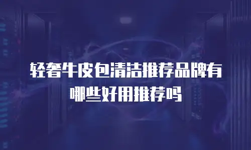 轻奢牛皮包清洁推荐品牌有哪些好用推荐吗