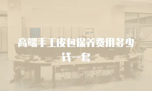 高端手工皮包保养费用多少钱一套