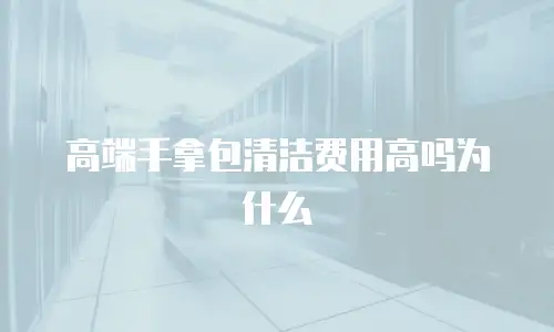 高端手拿包清洁费用高吗为什么