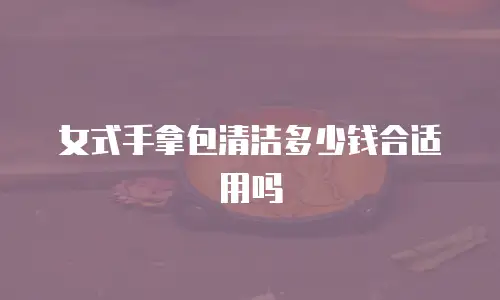 女式手拿包清洁多少钱合适用吗