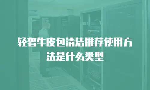 轻奢牛皮包清洁推荐使用方法是什么类型