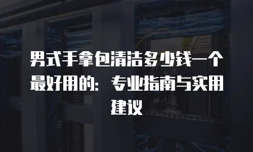 男式手拿包清洁多少钱一个最好用的：专业指南与实用建议