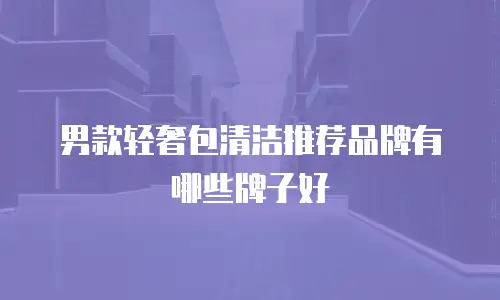 男款轻奢包清洁推荐品牌有哪些牌子好
