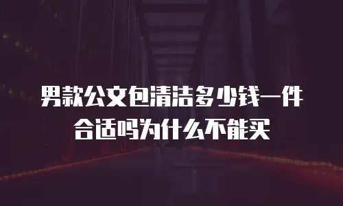 男款公文包清洁多少钱一件合适吗为什么不能买