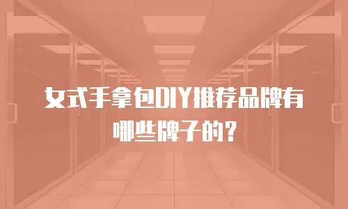女式手拿包DIY推荐品牌有哪些牌子的？