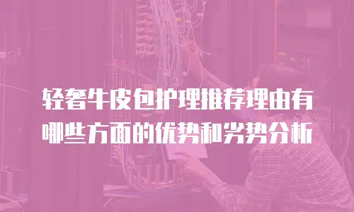 轻奢牛皮包护理推荐理由有哪些方面的优势和劣势分析