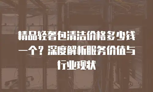 精品轻奢包清洁价格多少钱一个？深度解析服务价值与行业现状