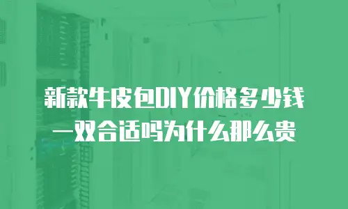 新款牛皮包DIY价格多少钱一双合适吗为什么那么贵
