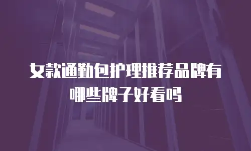 女款通勤包护理推荐品牌有哪些牌子好看吗