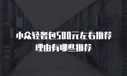 小众轻奢包500元左右推荐理由有哪些推荐