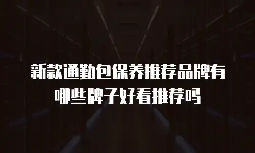 新款通勤包保养推荐品牌有哪些牌子好看推荐吗