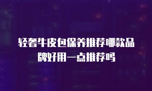 轻奢牛皮包保养推荐哪款品牌好用一点推荐吗