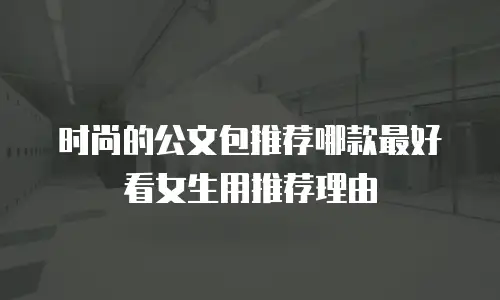 时尚的公文包推荐哪款最好看女生用推荐理由