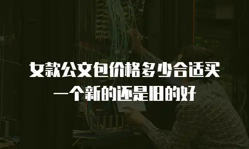 女款公文包价格多少合适买一个新的还是旧的好