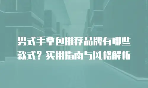 男式手拿包推荐品牌有哪些款式？实用指南与风格解析