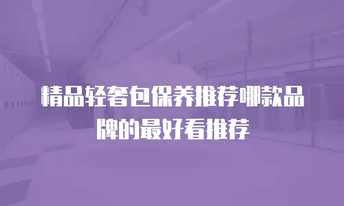 精品轻奢包保养推荐哪款品牌的最好看推荐