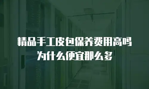 精品手工皮包保养费用高吗为什么便宜那么多