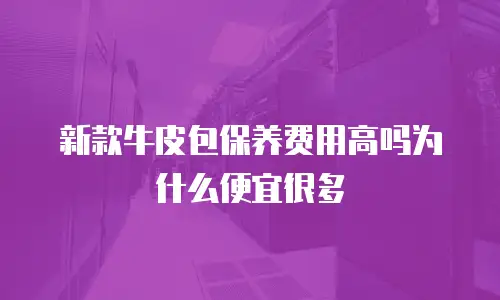 新款牛皮包保养费用高吗为什么便宜很多