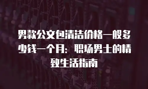 男款公文包清洁价格一般多少钱一个月：职场男士的精致生活指南