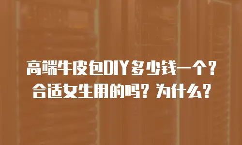 高端牛皮包DIY多少钱一个？合适女生用的吗？为什么？