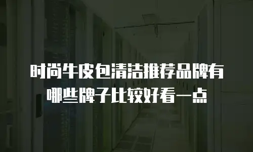 时尚牛皮包清洁推荐品牌有哪些牌子比较好看一点