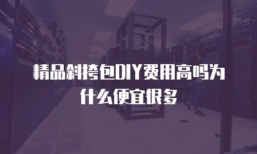 精品斜挎包DIY费用高吗为什么便宜很多