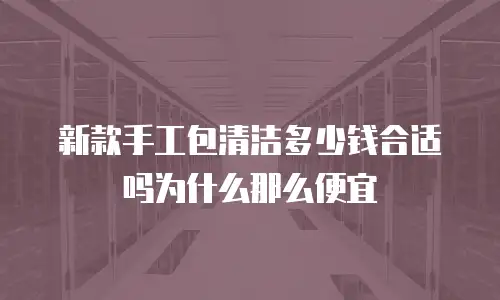 新款手工包清洁多少钱合适吗为什么那么便宜
