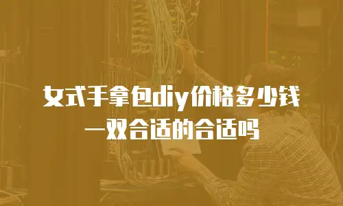 女式手拿包diy价格多少钱一双合适的合适吗