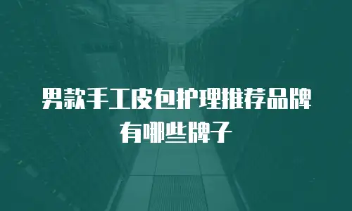 男款手工皮包护理推荐品牌有哪些牌子