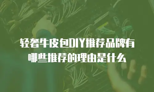 轻奢牛皮包DIY推荐品牌有哪些推荐的理由是什么