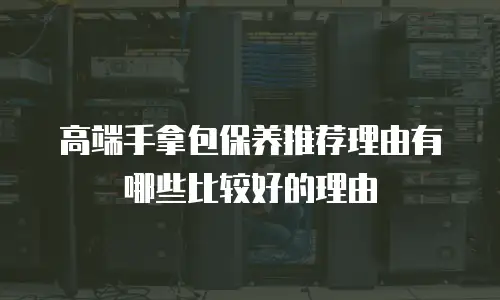 高端手拿包保养推荐理由有哪些比较好的理由