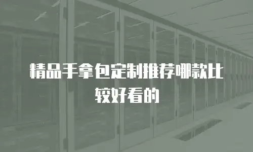 精品手拿包定制推荐哪款比较好看的