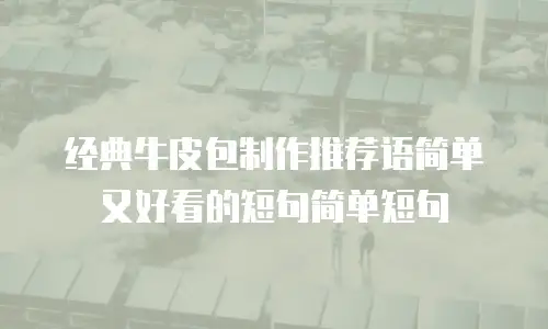 经典牛皮包制作推荐语简单又好看的短句简单短句