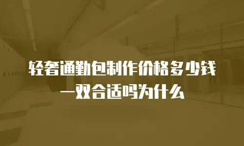轻奢通勤包制作价格多少钱一双合适吗为什么