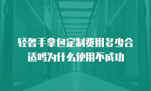 轻奢手拿包定制费用多少合适吗为什么使用不成功