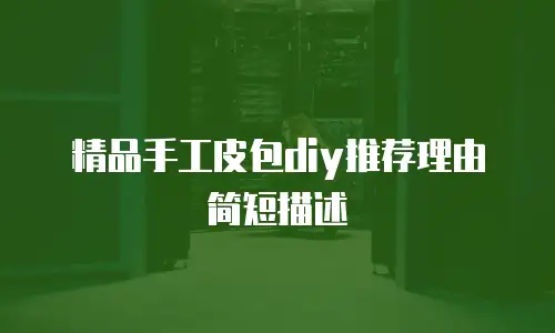 精品手工皮包diy推荐理由简短描述