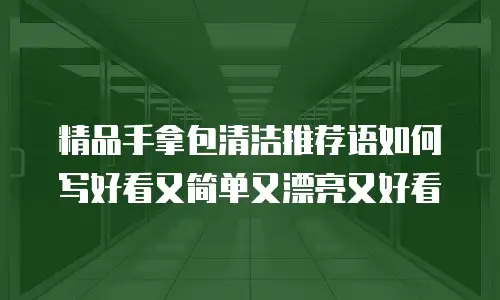 精品手拿包清洁推荐语如何写好看又简单又漂亮又好看