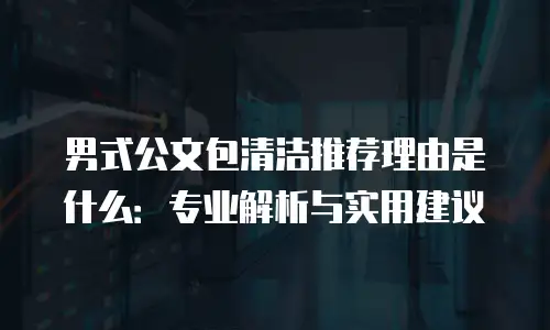 男式公文包清洁推荐理由是什么：专业解析与实用建议