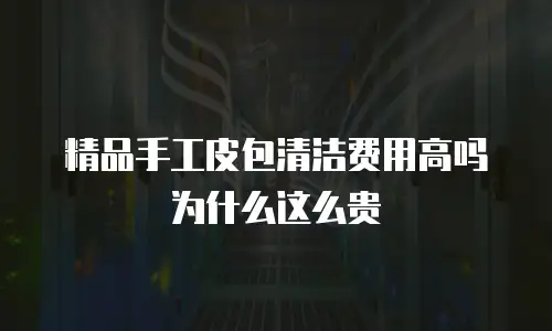 精品手工皮包清洁费用高吗为什么这么贵