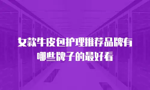 女款牛皮包护理推荐品牌有哪些牌子的最好看