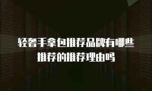 轻奢手拿包推荐品牌有哪些推荐的推荐理由吗