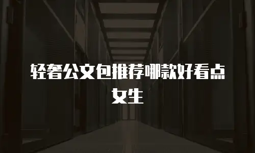 轻奢公文包推荐哪款好看点女生