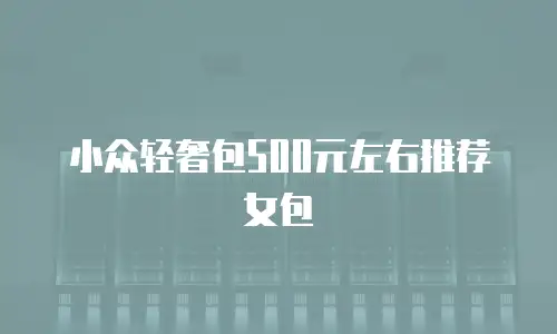 小众轻奢包500元左右推荐女包