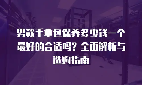 男款手拿包保养多少钱一个最好的合适吗？全面解析与选购指南