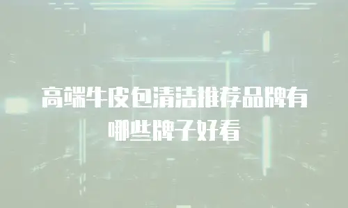 高端牛皮包清洁推荐品牌有哪些牌子好看
