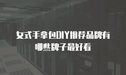女式手拿包DIY推荐品牌有哪些牌子最好看