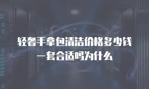 轻奢手拿包清洁价格多少钱一套合适吗为什么